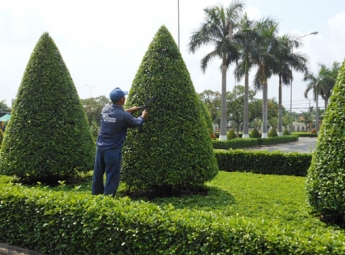 CHĂM SÓC, BẢO DƯỠNG SÂN VƯỜN